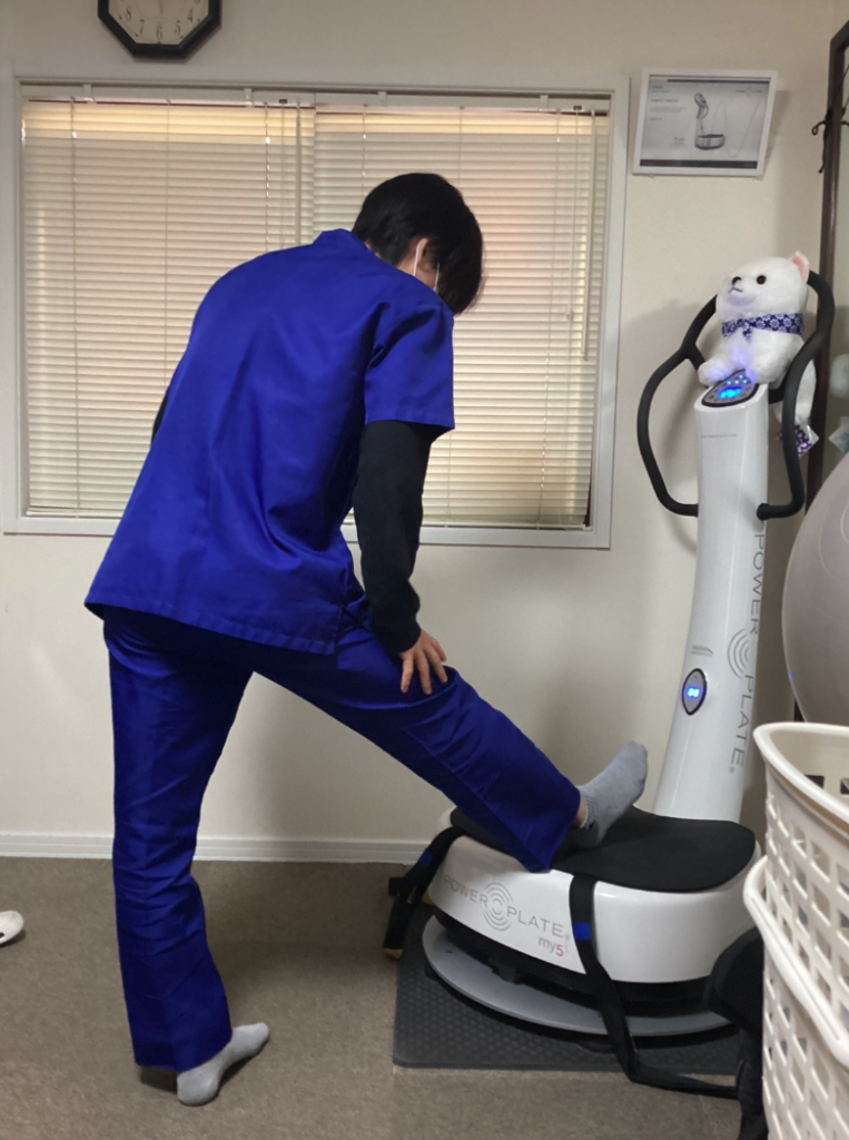 パワープレートに座って行うトレーニング